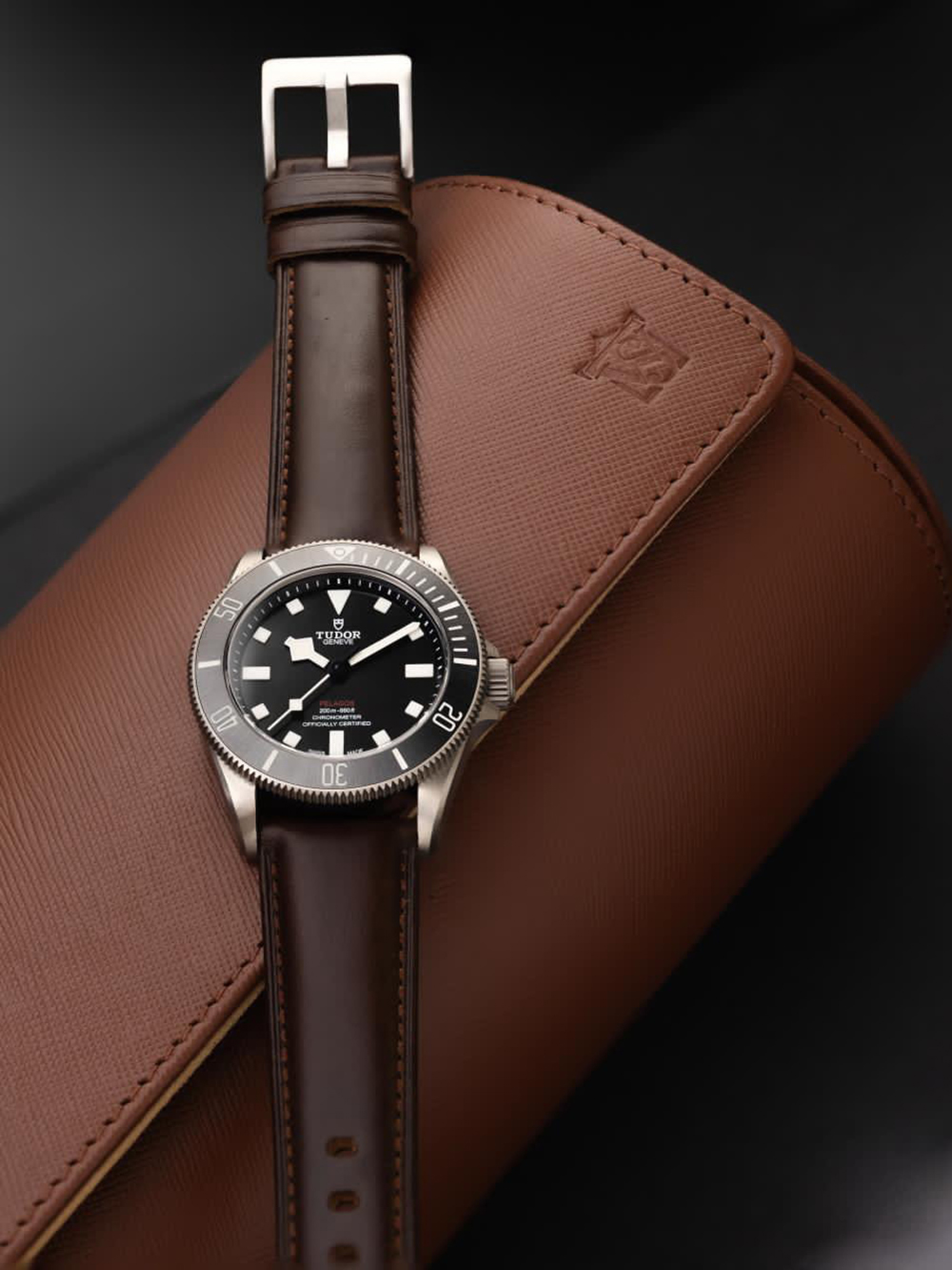 Hemsut Watch Bands Genuine Lea - Leather Strap Quick Release review and price