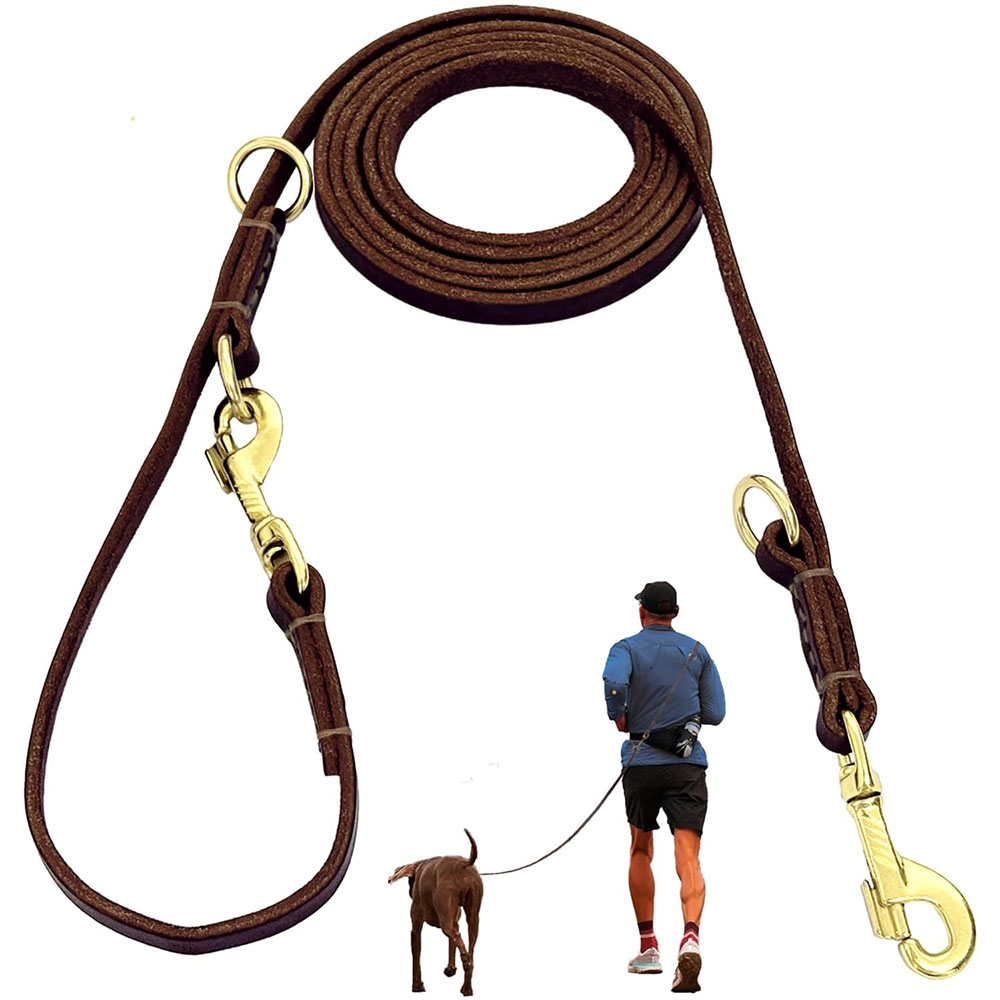 Multi Function Leather Dog Lea - Leather Strap Quick Release review and price