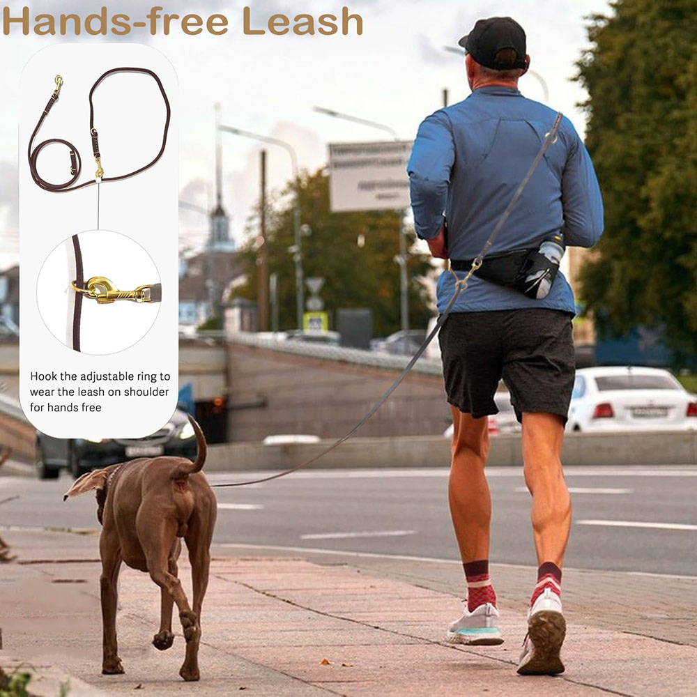 Multi Function Leather Dog Lea - Leather Strap Quick Release review and price